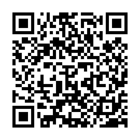 QR code for QYN411