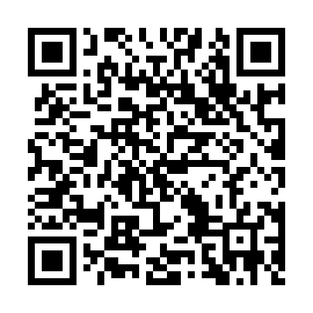 QR code for QZH987