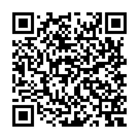 QR code for QZJ951