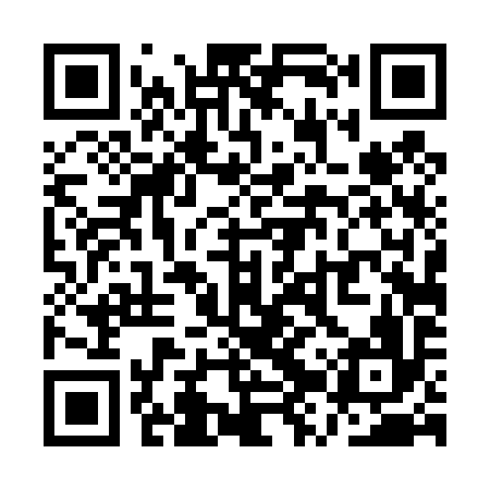 QR code for QZT496