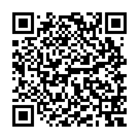 QR code for RAE398
