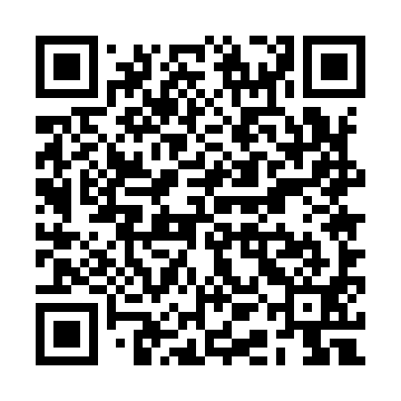 QR code for RAE991