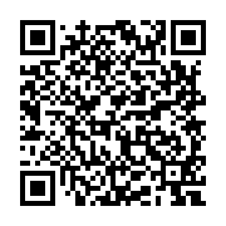QR code for RAO991