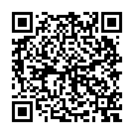 QR code for RAY611