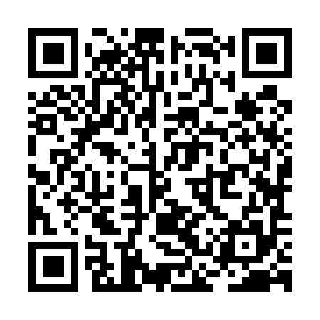 QR code for RCZ595