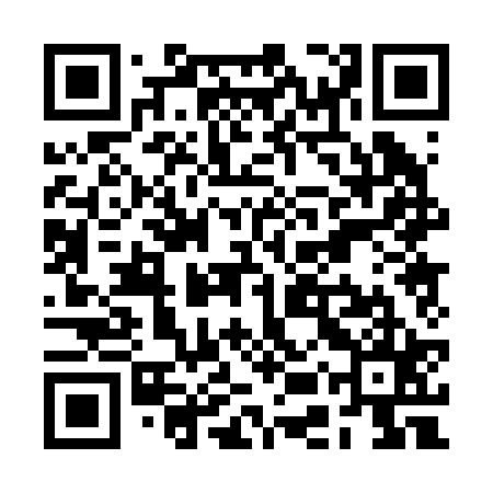 QR code for REP225