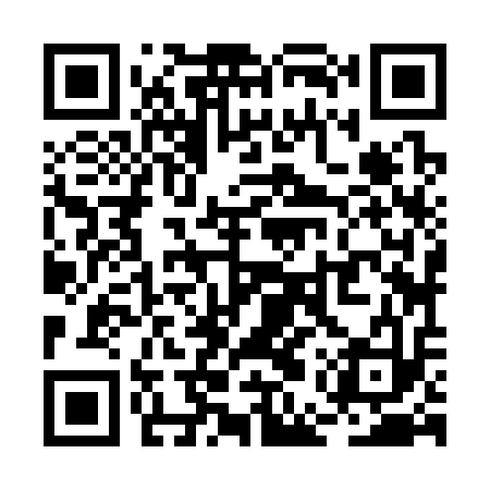 QR code for REZ313