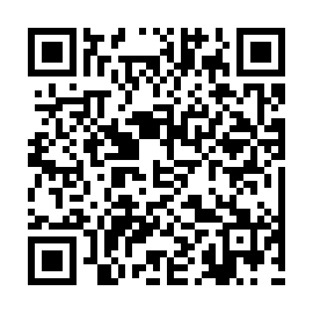 QR code for RHR381