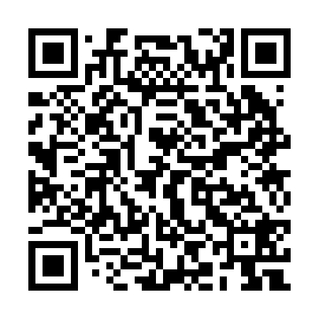 QR code for RIC228