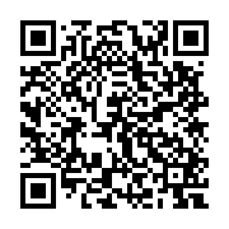 QR code for RIK541