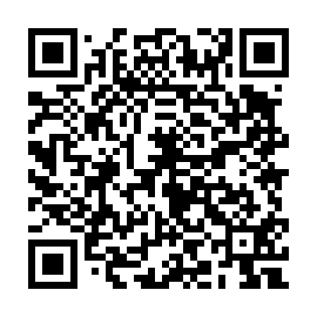 QR code for RIM411