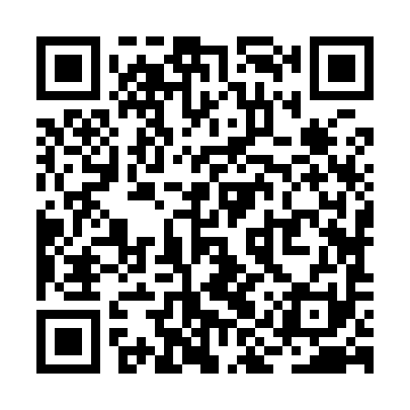 QR code for RIZ991