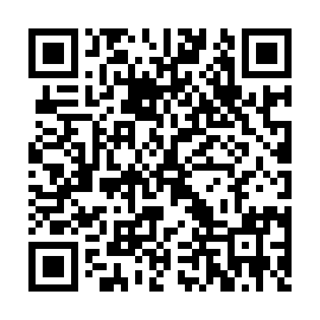 QR code for RLZ991
