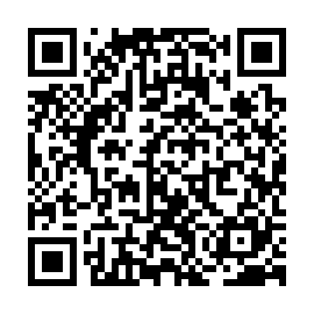 QR code for ROI325