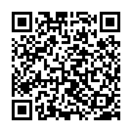 QR code for RPI229