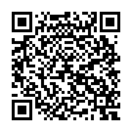 QR code for RSO317