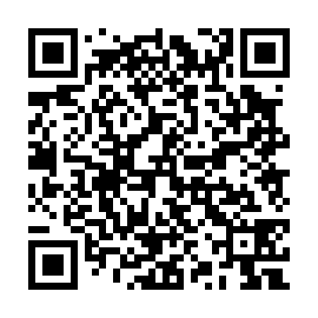 QR code for RZP038