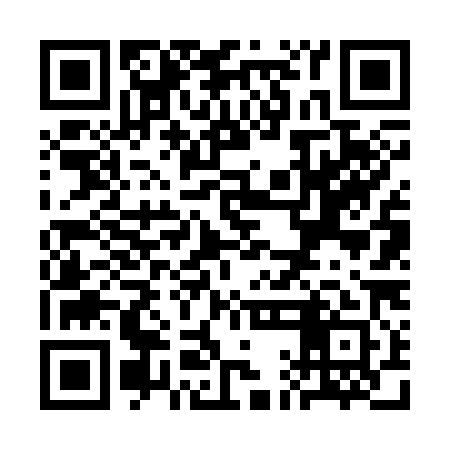 QR code for SAF381