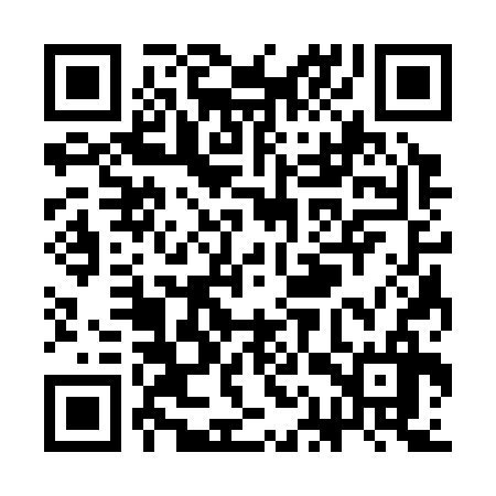 QR code for SAS336