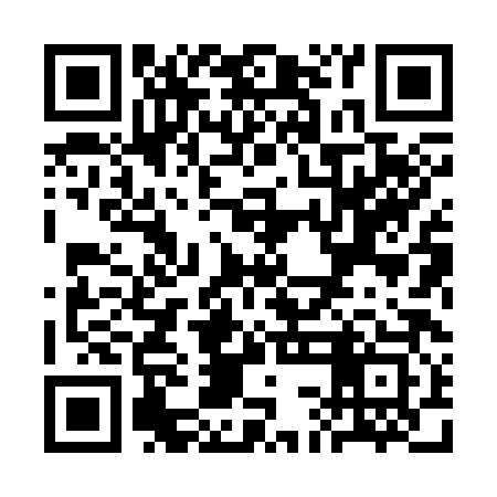 QR code for SCH383