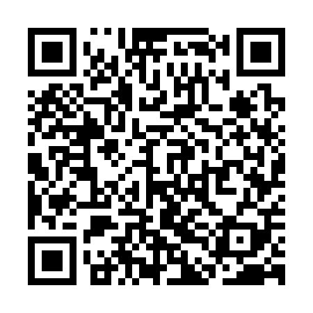 QR code for SDG309