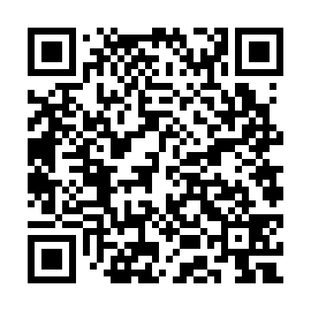 QR code for SEF339