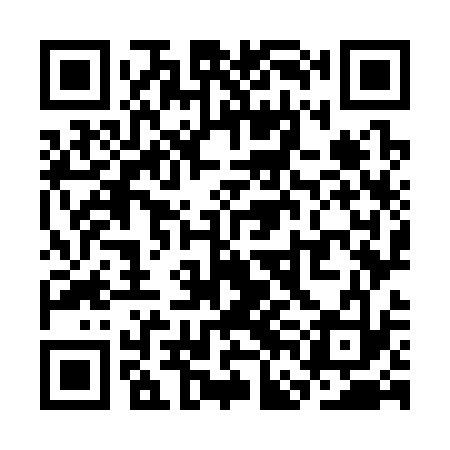 QR code for SFO333
