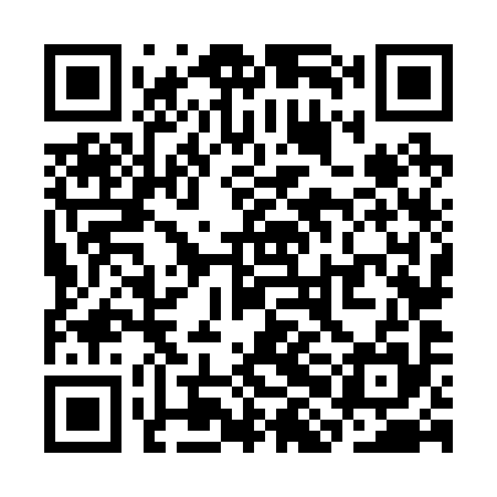 QR code for SHN295