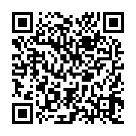 QR code for SIJ919