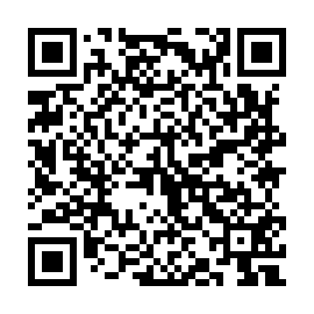 QR code for SJI951