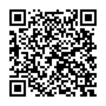 QR code for SKG529