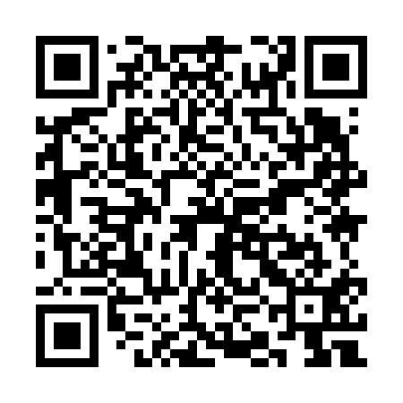QR code for SKI611
