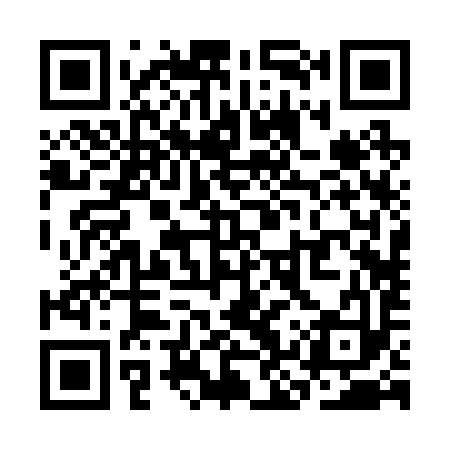 QR code for SKR293