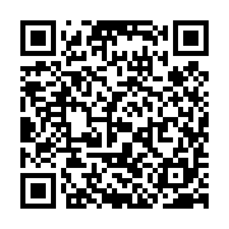 QR code for SMI495