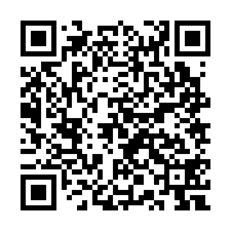 QR code for SPJ318