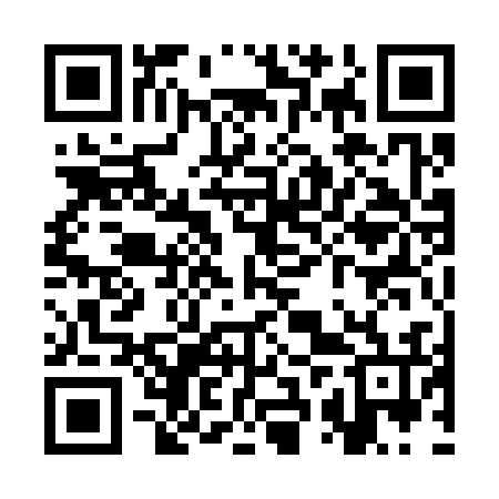 QR code for SRQ336