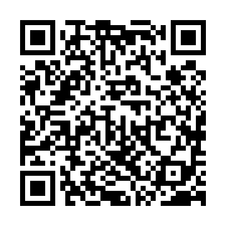 QR code for SSX599