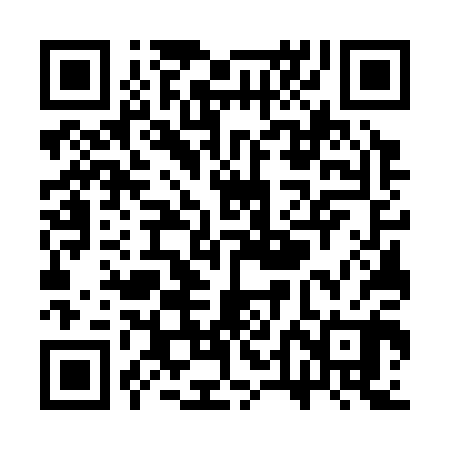 QR code for STG300