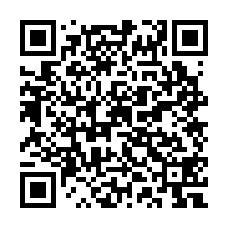 QR code for STO318