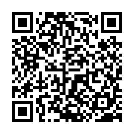 QR code for SVK295