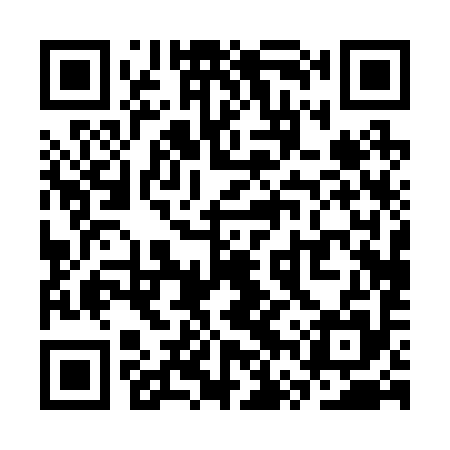 QR code for SVP295