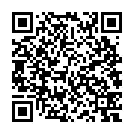 QR code for SVV339