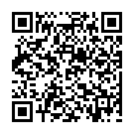 QR code for SWF221