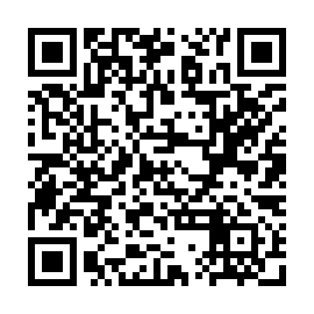 QR code for SWF991