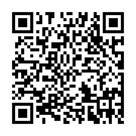 QR code for SYB991