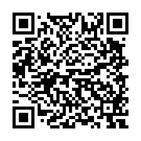 QR code for SYP489