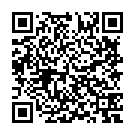 QR code for SYY878