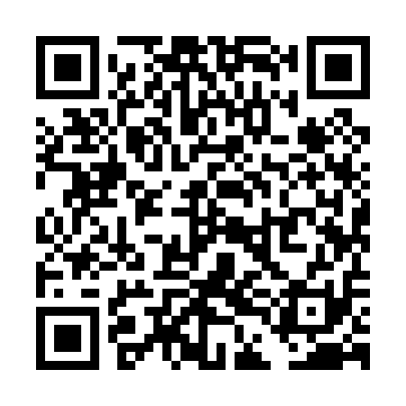 QR code for TDI011