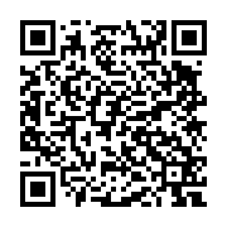 QR code for TDK462