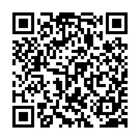 QR code for TES295